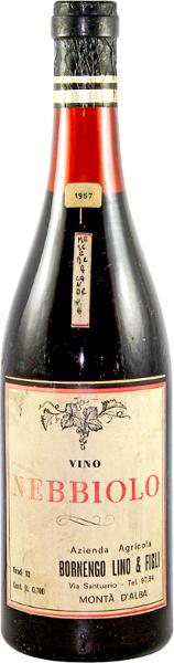 Nebbiolo, 1967