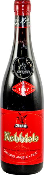 Nebbiolo, 1967